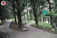 Trieste parco della rimembranza
