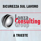 Lonza Consulting Group - sicurezza a 360 gradi