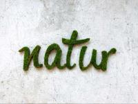 anna-garforth-natur-moss-graffiti