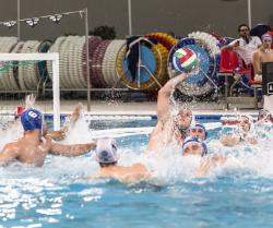 boris popovic pallanuoto trieste 2015