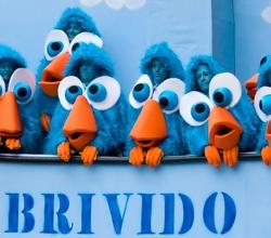 brivido 2014