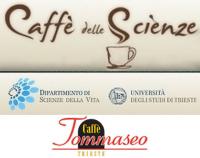 caffe delle scienze tommaseo