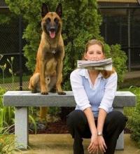 cane donna