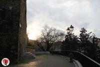 trieste - chiesa di san silvestro in controluce