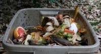 cibo spreco