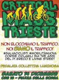 critical mass trieste