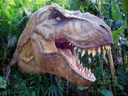 dinosauro