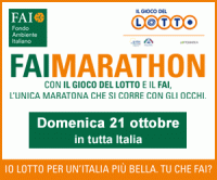 faimarathon 2012.gif