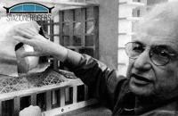 frank o gehry