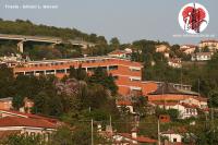galvani