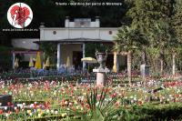 giardino miramar bar