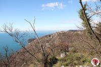 Golfo di Trieste e Carso 6 febbraio 2014
