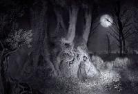 il mistero di dante