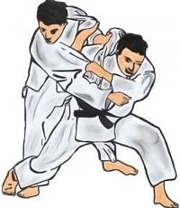 judo