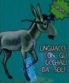 linguaccecongliocchialidasole