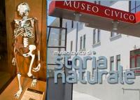 lucy museo storia naturale