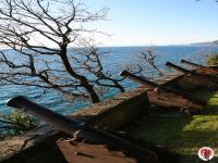 miramare cannoni