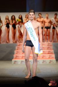 mister topolini 2014