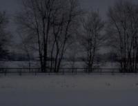 neve carso