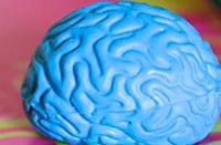 olimpiadi neuroscienze