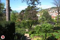 orto botanico 016