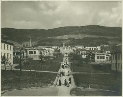 parco ex-opp trieste strobl 1910