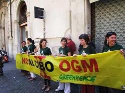 protesta ogm