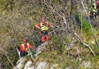 ricerca disperso bosco