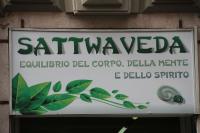 sattwaveda logo