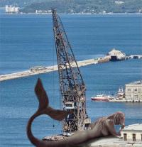 sirena ursus