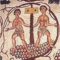 spremitura vino antica