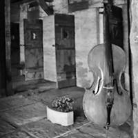 violoncello risiera