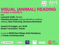 visual animal reading