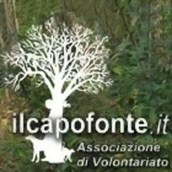 capofonte