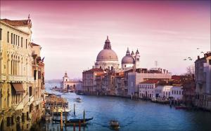 international artexpo venice