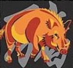 cinghiale