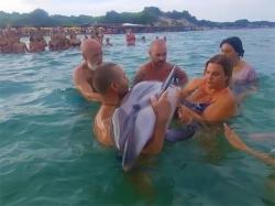 delfino-soccorso-puglia